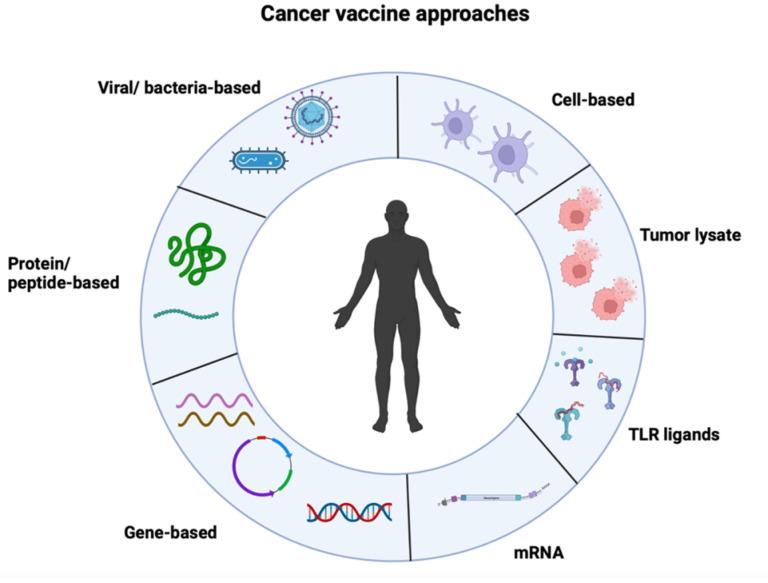 https://cdn.ncbi.nlm.nih.gov/pmc/blobs/bd12/10534833/3af4b8c00020/vaccines-11-01465-g001.jpg