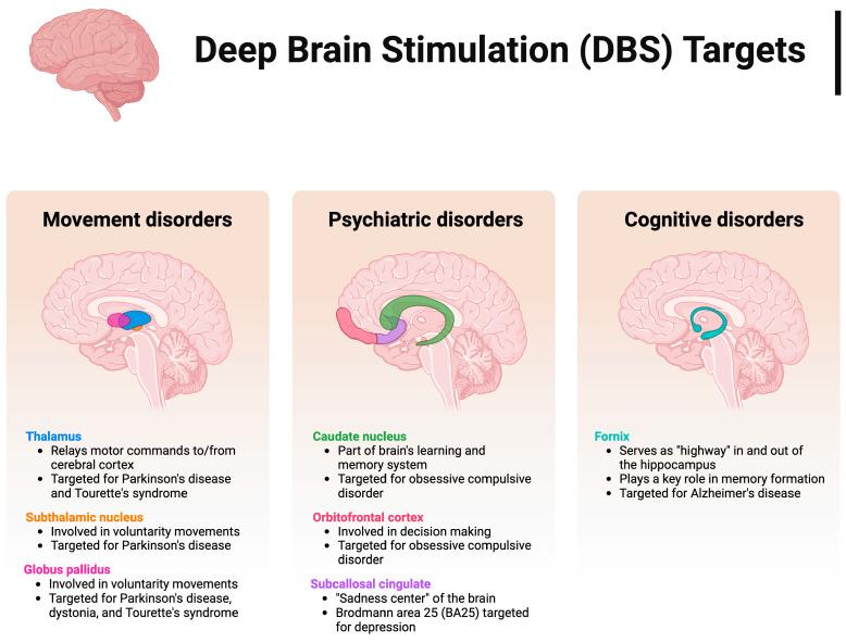 https://cdn.ncbi.nlm.nih.gov/pmc/blobs/bd15/11274405/bfc9a7b5badb/biosensors-14-00335-g001.jpg