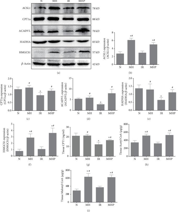 https://cdn.ncbi.nlm.nih.gov/pmc/blobs/bd18/7109578/d64cf8fb9954/OMCL2020-5849794.004.jpg