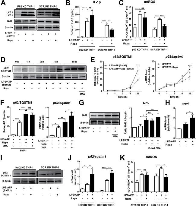 https://cdn.ncbi.nlm.nih.gov/pmc/blobs/bd1b/5522223/28736110d1c8/oncotarget-08-40817-g003.jpg