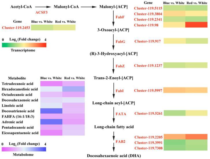 https://cdn.ncbi.nlm.nih.gov/pmc/blobs/bd1e/11430191/f0597921a922/biomolecules-14-01144-g005.jpg