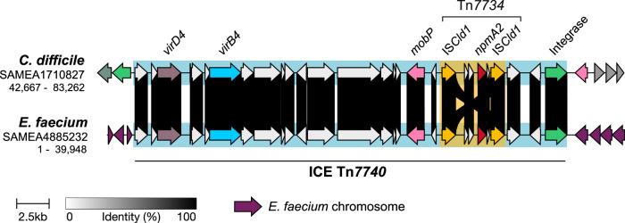 https://cdn.ncbi.nlm.nih.gov/pmc/blobs/bd21/12271512/180f5046e460/41467_2025_61152_Fig5_HTML.jpg