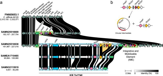 https://cdn.ncbi.nlm.nih.gov/pmc/blobs/bd21/12271512/2b34437e3be2/41467_2025_61152_Fig4_HTML.jpg