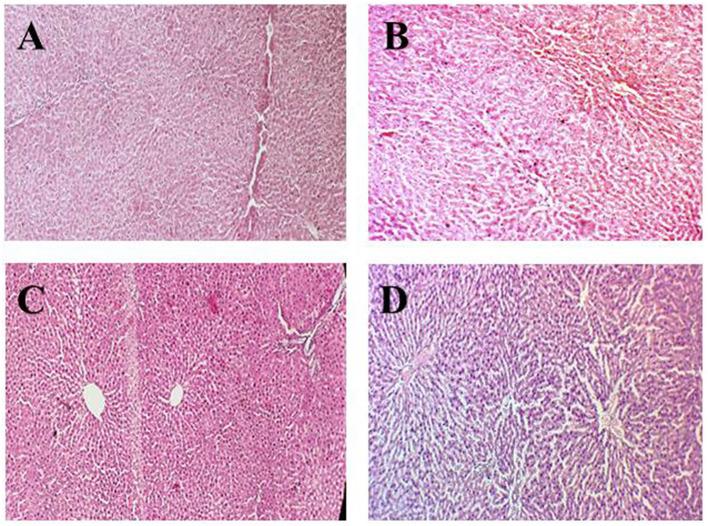 https://cdn.ncbi.nlm.nih.gov/pmc/blobs/bd22/10293738/0ba271ad0bbe/fnut-10-1195981-g0002.jpg