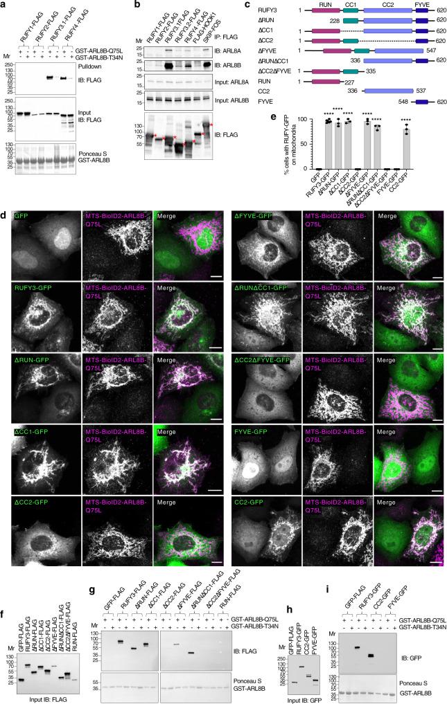 https://cdn.ncbi.nlm.nih.gov/pmc/blobs/bd23/8938451/a63240865799/41467_2022_28952_Fig2_HTML.jpg