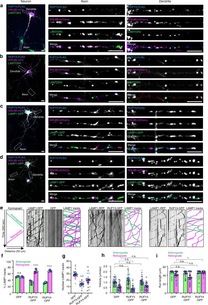 https://cdn.ncbi.nlm.nih.gov/pmc/blobs/bd23/8938451/a7aba188beb6/41467_2022_28952_Fig6_HTML.jpg