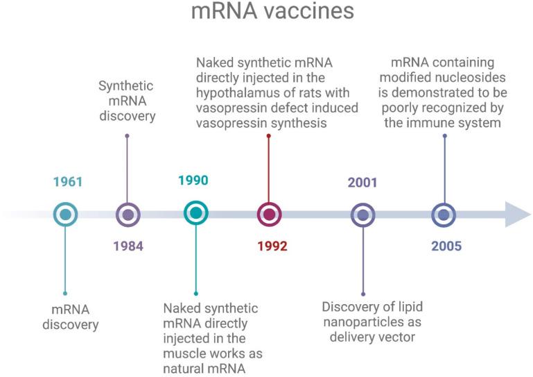 https://cdn.ncbi.nlm.nih.gov/pmc/blobs/bd24/11680146/7ab059182a05/vaccines-12-01418-g002.jpg