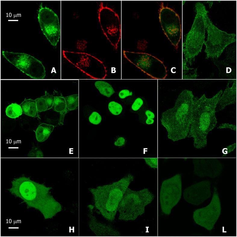 https://cdn.ncbi.nlm.nih.gov/pmc/blobs/bd2b/4879523/a3b8b4a53cd7/srep26658-f1.jpg