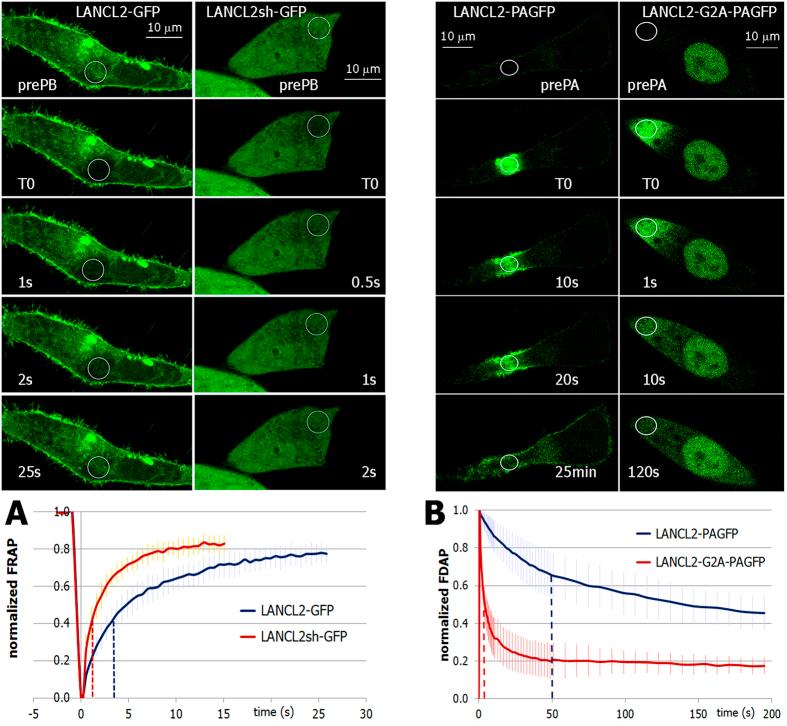 https://cdn.ncbi.nlm.nih.gov/pmc/blobs/bd2b/4879523/e866b982dff2/srep26658-f2.jpg