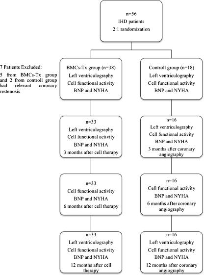 https://cdn.ncbi.nlm.nih.gov/pmc/blobs/bd2c/3137778/8abb64deb133/12015_2010_9220_Fig1_HTML.jpg