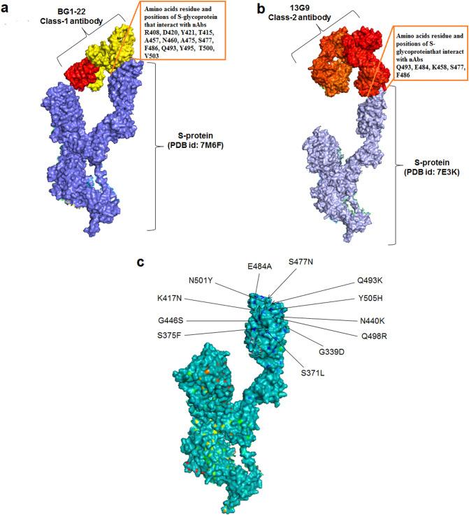 https://cdn.ncbi.nlm.nih.gov/pmc/blobs/bd2d/9359758/3fbe664f3fd9/gr5_lrg.jpg