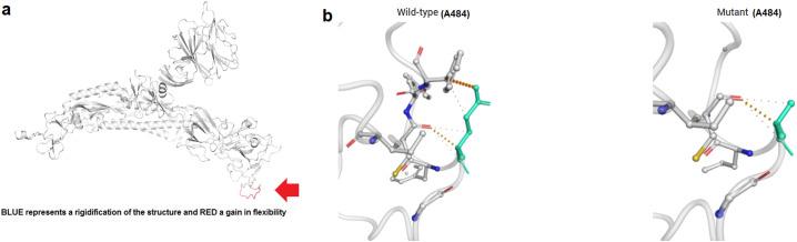 https://cdn.ncbi.nlm.nih.gov/pmc/blobs/bd2d/9359758/5db3b666cb13/gr7_lrg.jpg