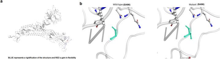 https://cdn.ncbi.nlm.nih.gov/pmc/blobs/bd2d/9359758/62dc11c8ad5b/gr13_lrg.jpg