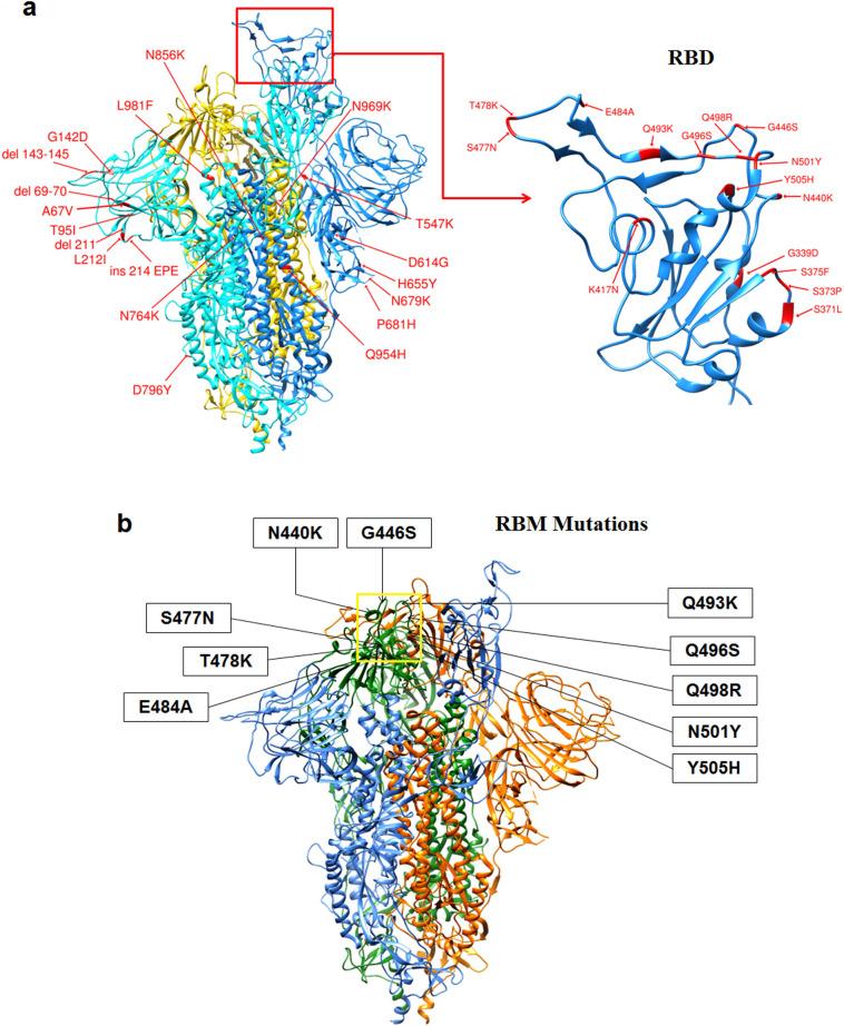 https://cdn.ncbi.nlm.nih.gov/pmc/blobs/bd2d/9359758/9e9580322c51/gr4_lrg.jpg