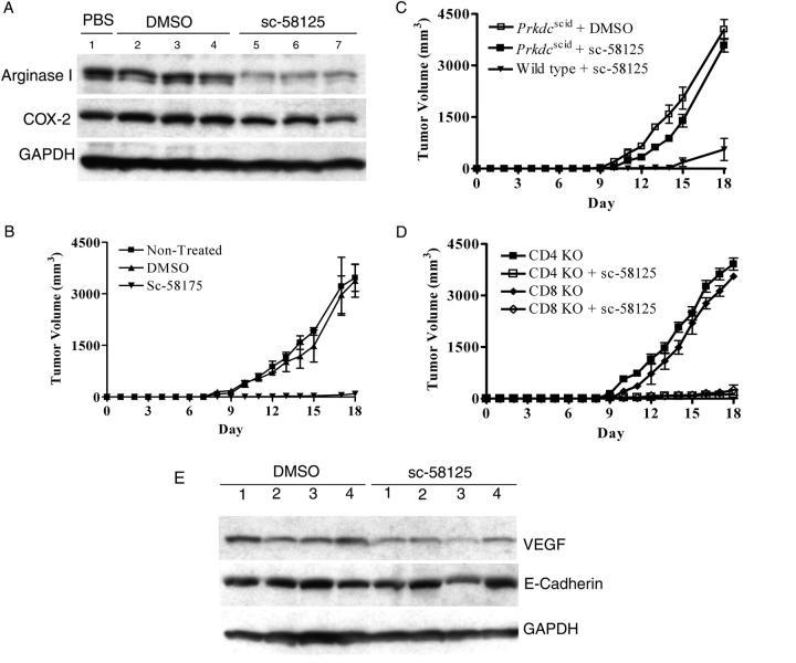 https://cdn.ncbi.nlm.nih.gov/pmc/blobs/bd2f/2213169/1029f7daab8b/20050715f7.jpg