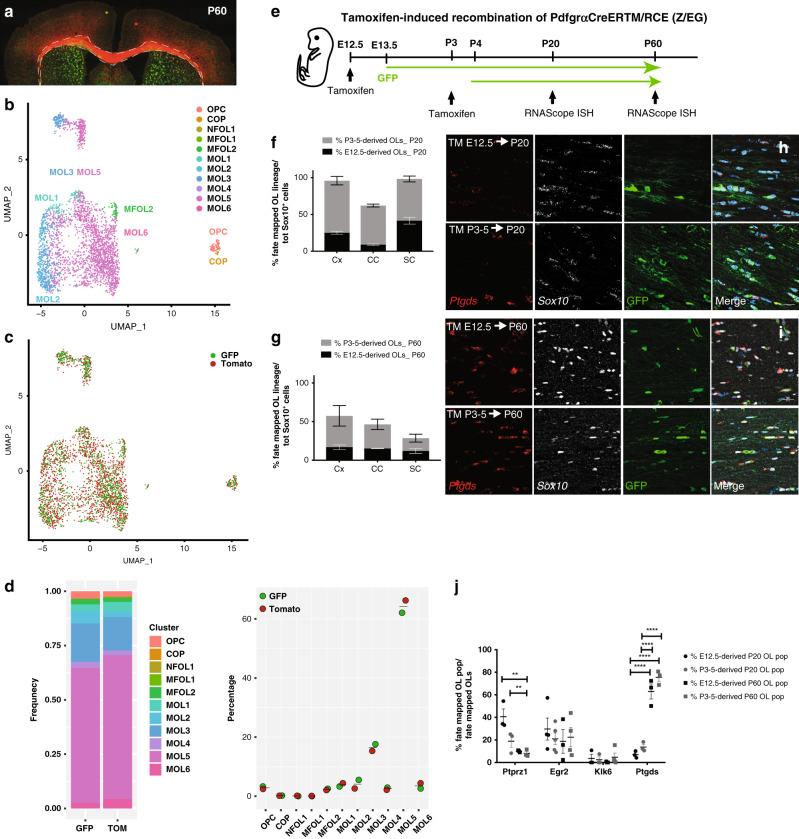 https://cdn.ncbi.nlm.nih.gov/pmc/blobs/bd2f/7673029/0a38e479b768/41467_2020_19453_Fig3_HTML.jpg