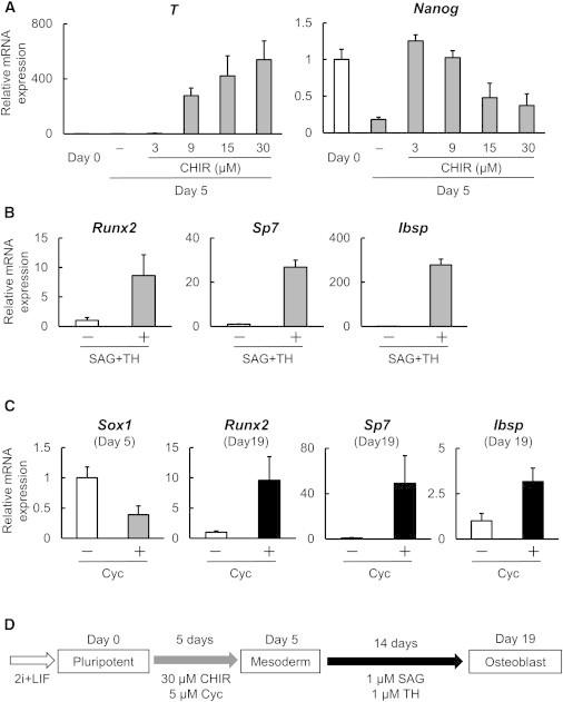 https://cdn.ncbi.nlm.nih.gov/pmc/blobs/bd30/4050355/ca7653442a52/gr1.jpg
