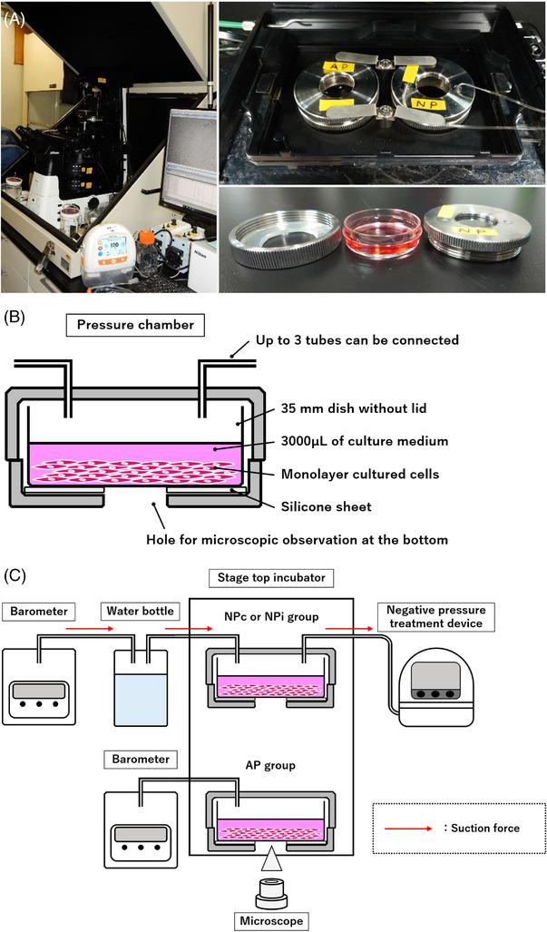 https://cdn.ncbi.nlm.nih.gov/pmc/blobs/bd30/9838773/d3202afd3d6a/SRT-29-e13262-g003.jpg