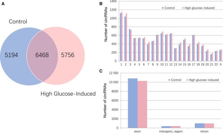 https://cdn.ncbi.nlm.nih.gov/pmc/blobs/bd31/6722901/789465eb6938/FEB4-9-1640-g001.jpg