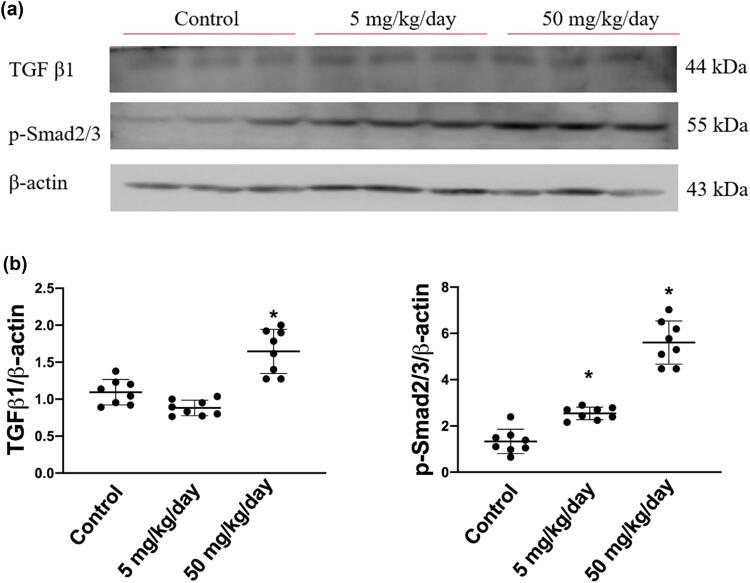https://cdn.ncbi.nlm.nih.gov/pmc/blobs/bd33/8565594/87f571eeda33/j_biol-2021-0116-fig004.jpg