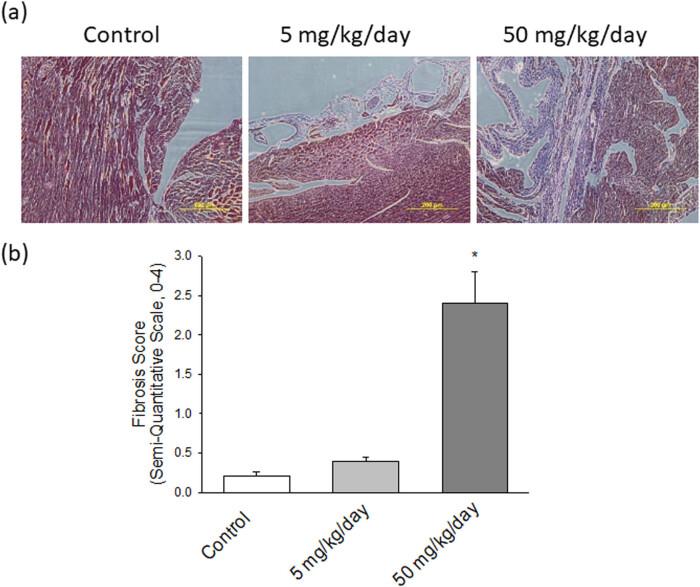 https://cdn.ncbi.nlm.nih.gov/pmc/blobs/bd33/8565594/e6774e0ae871/j_biol-2021-0116-fig003.jpg