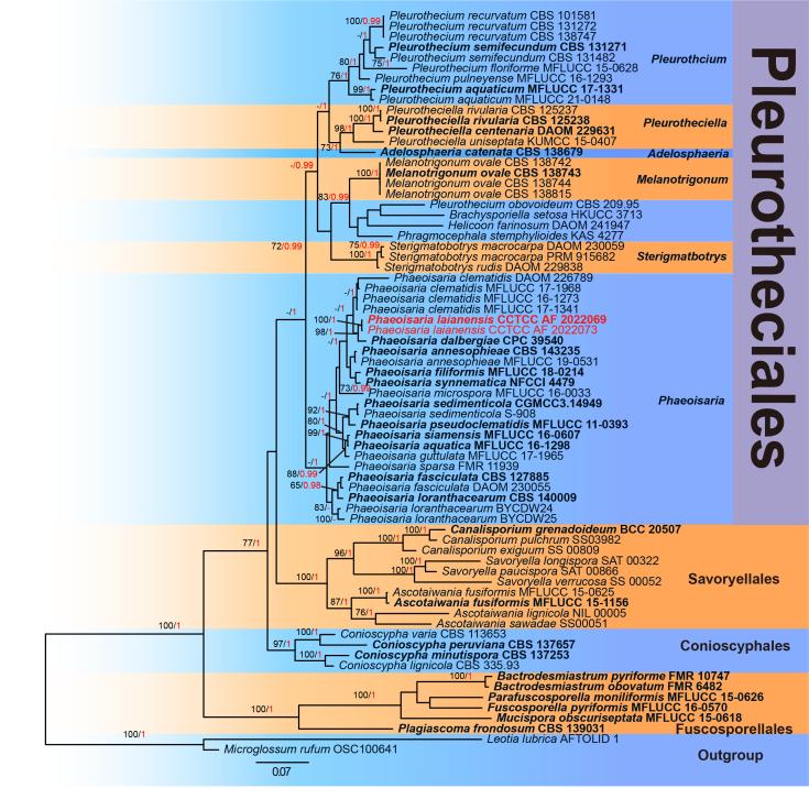 https://cdn.ncbi.nlm.nih.gov/pmc/blobs/bd37/9836530/1488002c3662/bdj-10-e94088-g002.jpg