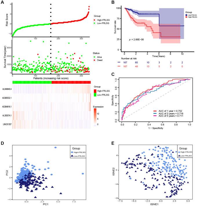 https://cdn.ncbi.nlm.nih.gov/pmc/blobs/bd38/9417219/95d7f5b5ba94/aging-14-204227-g002.jpg