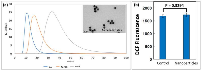 https://cdn.ncbi.nlm.nih.gov/pmc/blobs/bd3a/10451790/036d19cc7ded/antioxidants-12-01617-g003.jpg