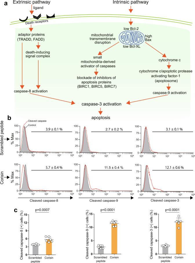 https://cdn.ncbi.nlm.nih.gov/pmc/blobs/bd3a/8943153/216a077c6ad5/41467_2022_29064_Fig2_HTML.jpg