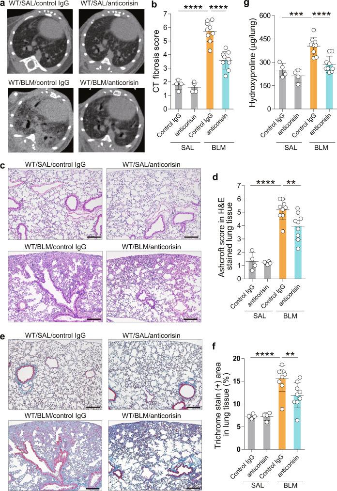 https://cdn.ncbi.nlm.nih.gov/pmc/blobs/bd3a/8943153/513f83f63bb0/41467_2022_29064_Fig7_HTML.jpg