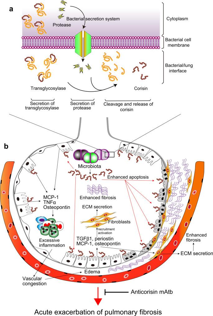 https://cdn.ncbi.nlm.nih.gov/pmc/blobs/bd3a/8943153/52ba7ec49efe/41467_2022_29064_Fig10_HTML.jpg