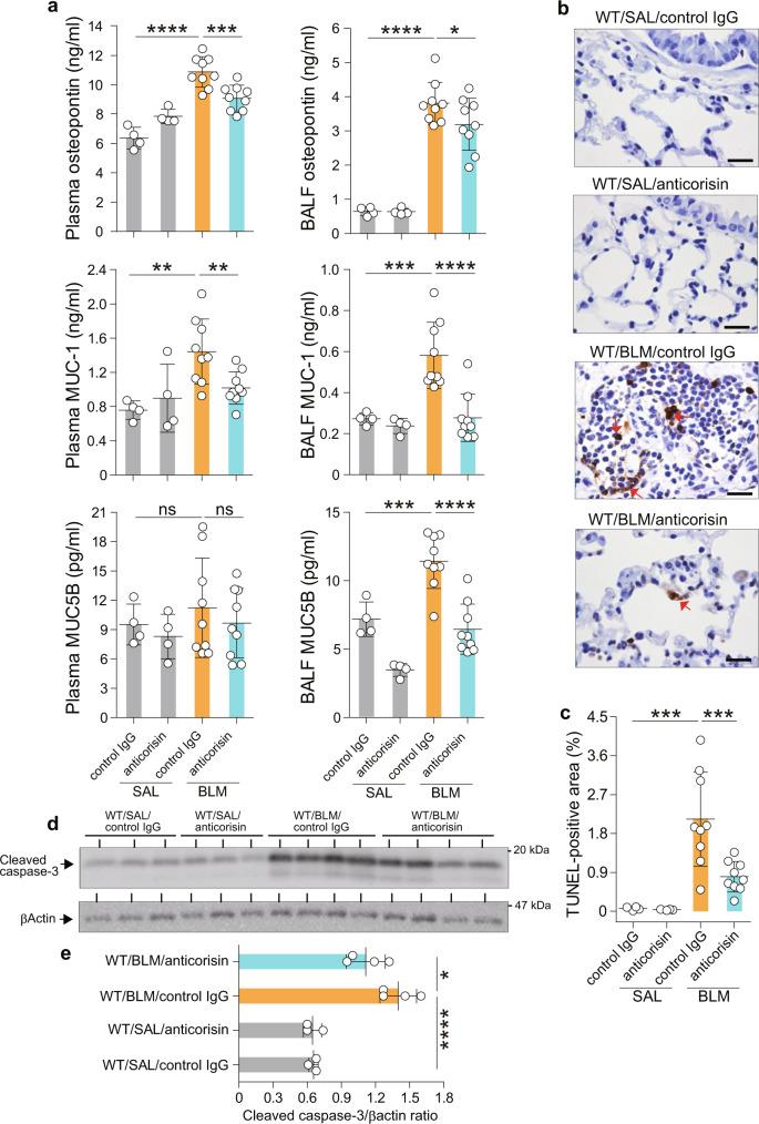 https://cdn.ncbi.nlm.nih.gov/pmc/blobs/bd3a/8943153/8ec230429edb/41467_2022_29064_Fig6_HTML.jpg