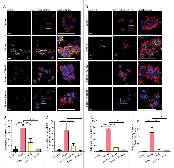 https://cdn.ncbi.nlm.nih.gov/pmc/blobs/bd3c/7549670/04cf7598b0a4/KSGT_A_1413496_F0005_OC.jpg