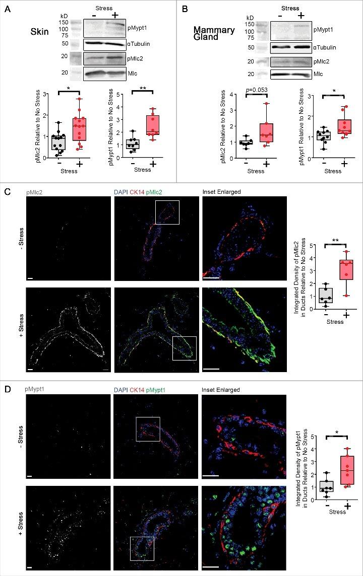 https://cdn.ncbi.nlm.nih.gov/pmc/blobs/bd3c/7549670/8a47959077bc/KSGT_A_1413496_F0004_OC.jpg
