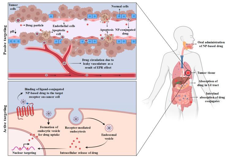 https://cdn.ncbi.nlm.nih.gov/pmc/blobs/bd3e/10376516/54f52a8215ae/bioengineering-10-00760-g002.jpg