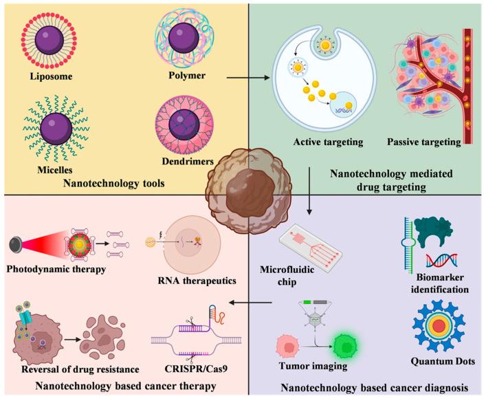 https://cdn.ncbi.nlm.nih.gov/pmc/blobs/bd3e/10376516/f89ea22c16df/bioengineering-10-00760-g001.jpg
