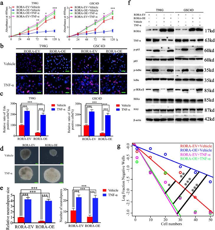 https://cdn.ncbi.nlm.nih.gov/pmc/blobs/bd41/7016377/1cd19eadb581/gr5.jpg
