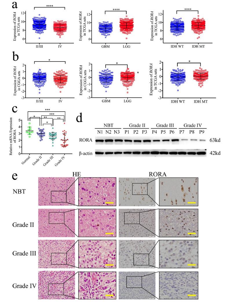 https://cdn.ncbi.nlm.nih.gov/pmc/blobs/bd41/7016377/461f719e30c0/gr1.jpg