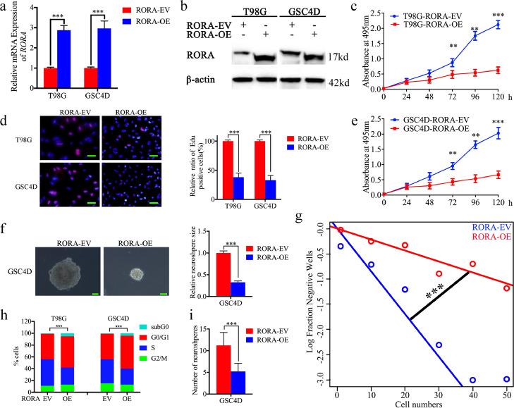 https://cdn.ncbi.nlm.nih.gov/pmc/blobs/bd41/7016377/b370d10d31a7/gr2.jpg