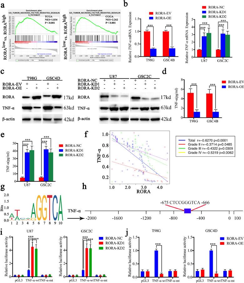 https://cdn.ncbi.nlm.nih.gov/pmc/blobs/bd41/7016377/fff3c4354a35/gr3.jpg