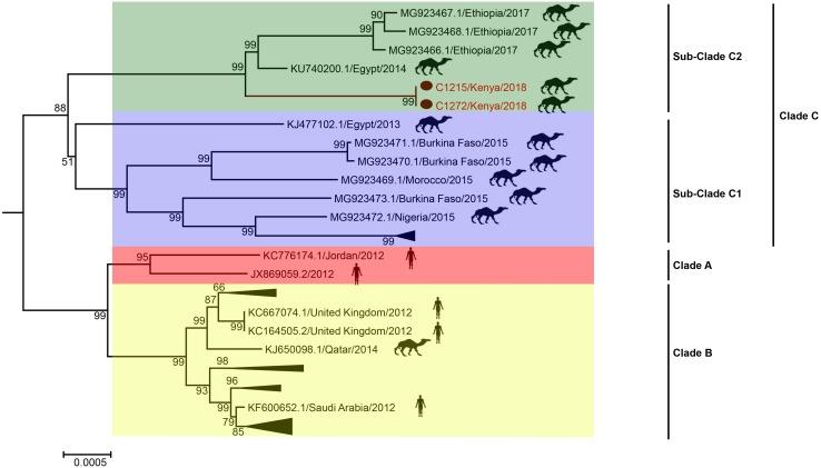 https://cdn.ncbi.nlm.nih.gov/pmc/blobs/bd42/6335226/62ac6cd3b38c/12250_2018_76_Fig3_HTML.jpg