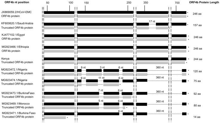 https://cdn.ncbi.nlm.nih.gov/pmc/blobs/bd42/6335226/f7a489a88445/12250_2018_76_Fig4_HTML.jpg