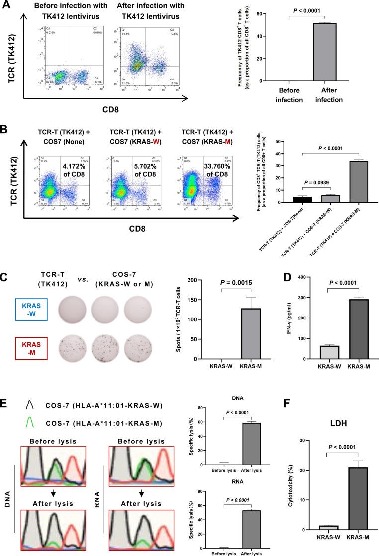 https://cdn.ncbi.nlm.nih.gov/pmc/blobs/bd43/10124323/3cc65454b2be/jitc-2022-006334f04.jpg