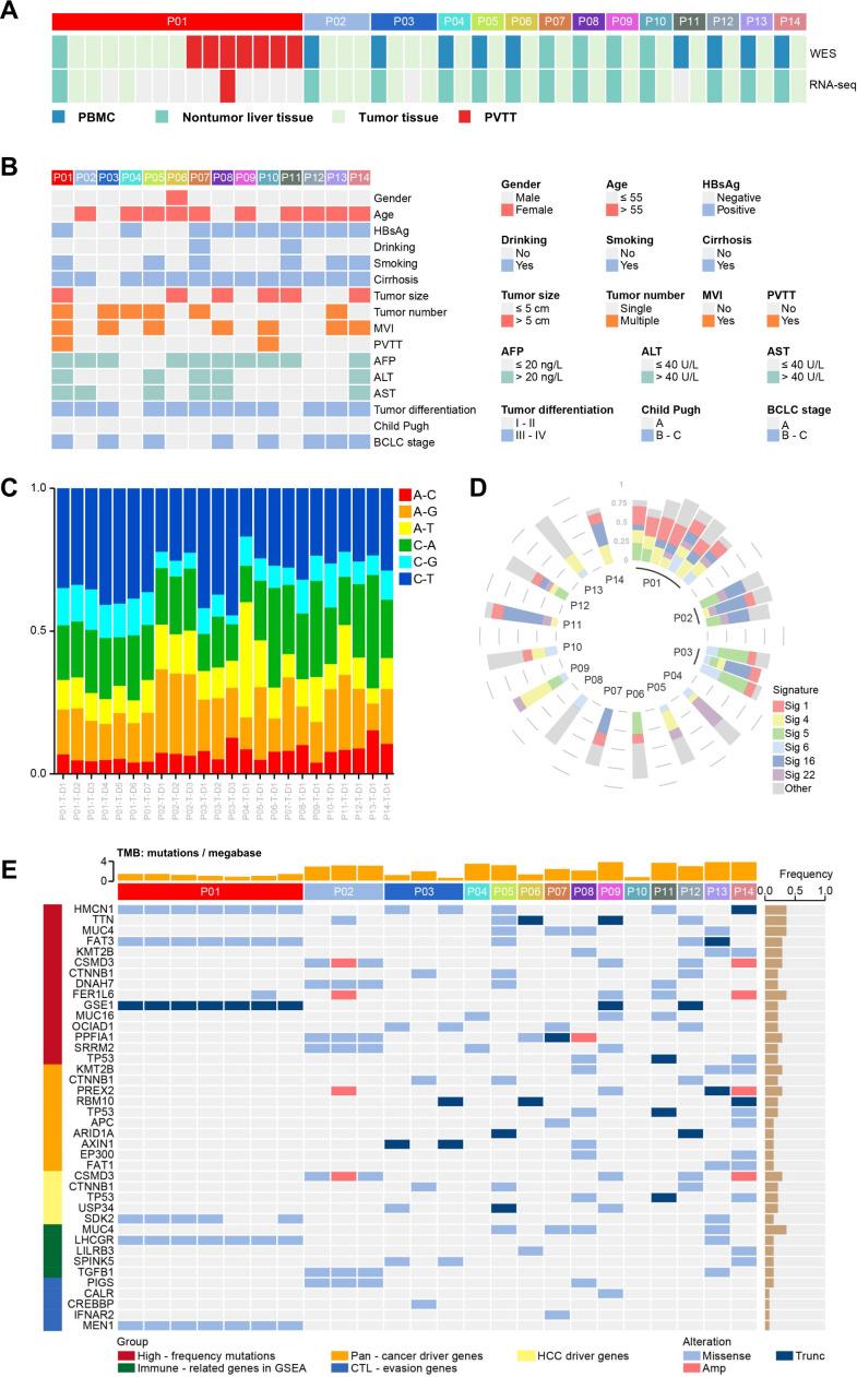 https://cdn.ncbi.nlm.nih.gov/pmc/blobs/bd43/10124323/6a47fc973a0c/jitc-2022-006334f01.jpg