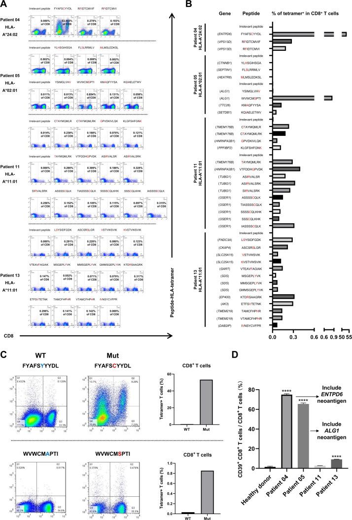 https://cdn.ncbi.nlm.nih.gov/pmc/blobs/bd43/10124323/f3406b93f508/jitc-2022-006334f05.jpg