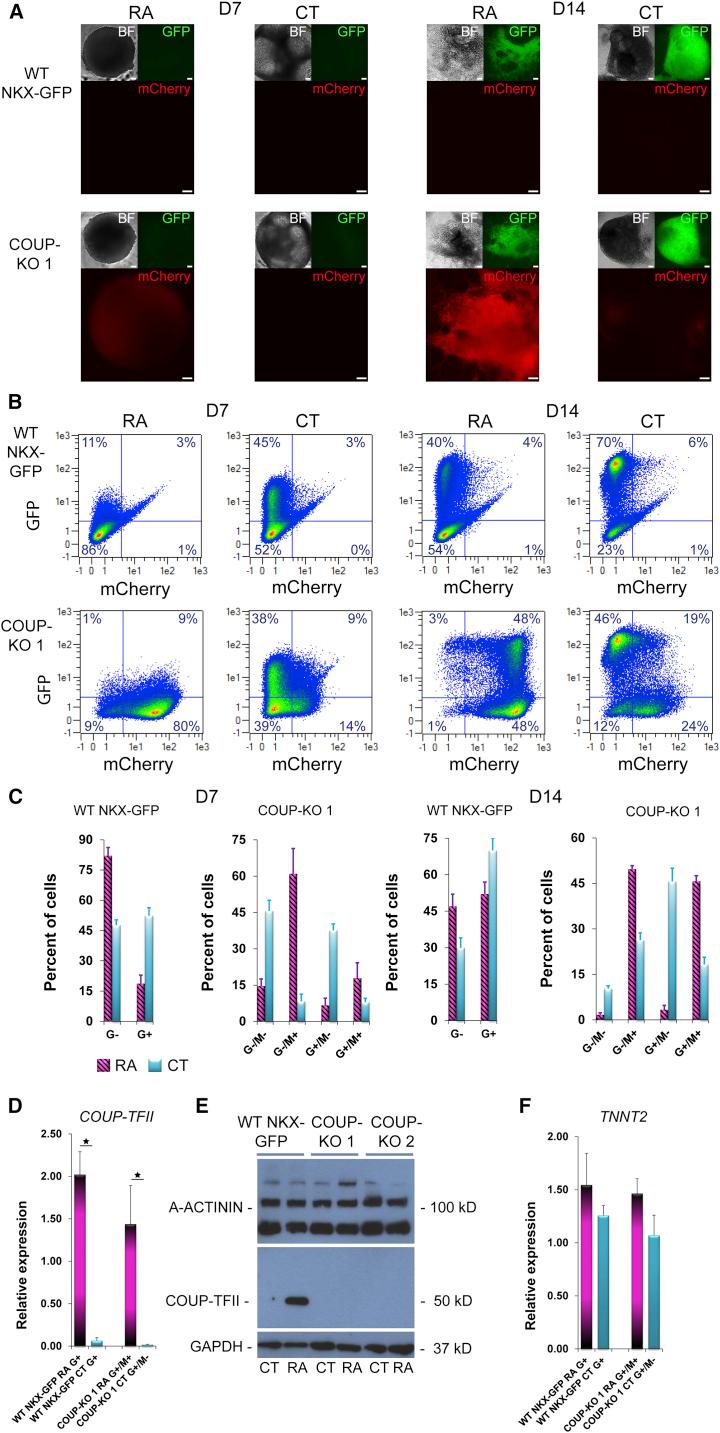 https://cdn.ncbi.nlm.nih.gov/pmc/blobs/bd43/5785710/5458682e0d58/gr4.jpg