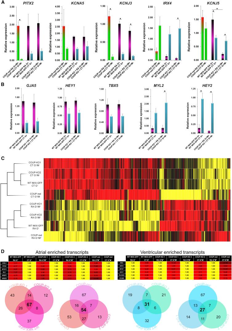 https://cdn.ncbi.nlm.nih.gov/pmc/blobs/bd43/5785710/6ebf970ee8cd/gr6.jpg