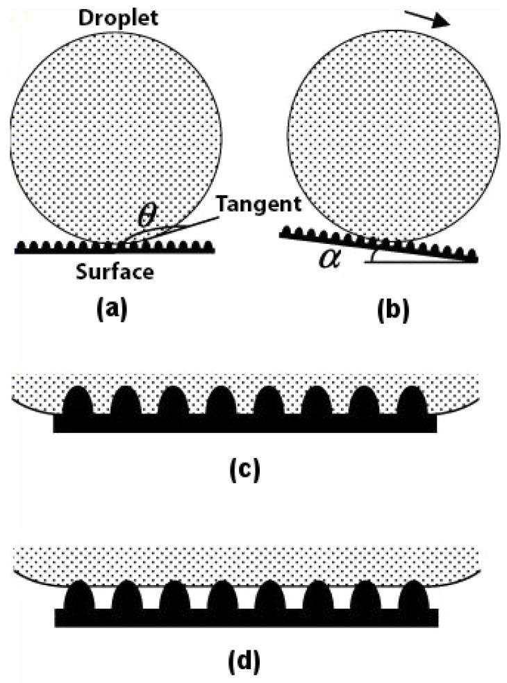 https://cdn.ncbi.nlm.nih.gov/pmc/blobs/bd43/6477628/f9bd6f61f906/biomimetics-02-00007-g001.jpg