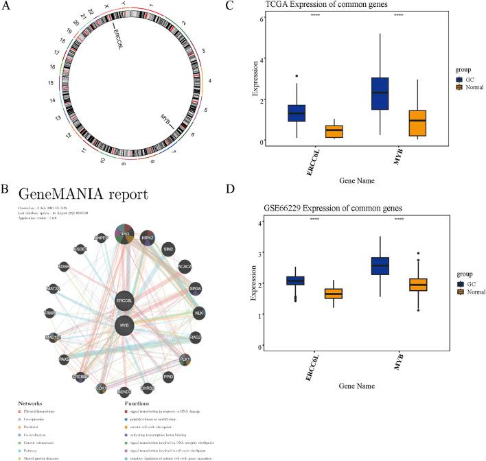 https://cdn.ncbi.nlm.nih.gov/pmc/blobs/bd44/12263385/441caf234923/fgene-16-1541489-g009.jpg