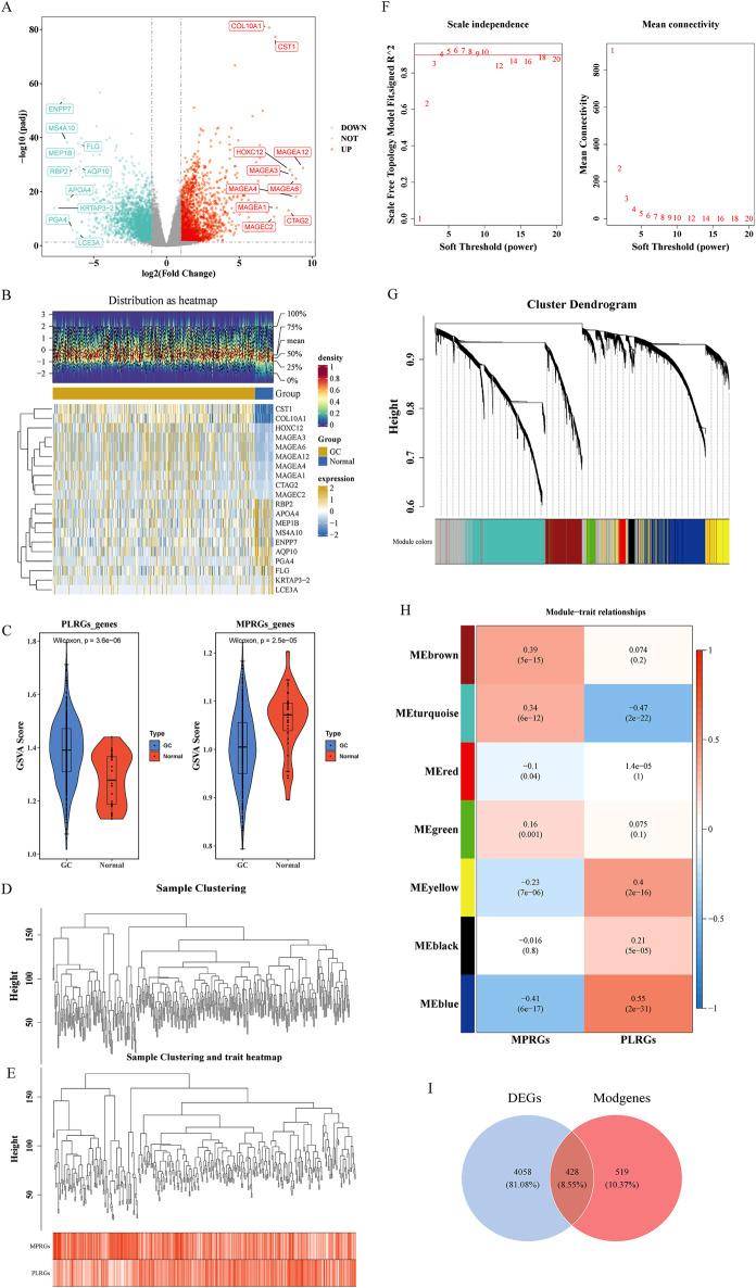 https://cdn.ncbi.nlm.nih.gov/pmc/blobs/bd44/12263385/6e15886acd09/fgene-16-1541489-g001.jpg